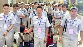 Đi làm việc ở nước ngoài theo 'hợp đồng cá nhân': Doanh nghiệp được quyền tư vấn, giới thiệu không?