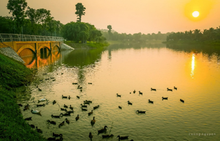 Không gian mặt nước đẳng cấp của biệt thự đảo Ecopark Grand - The Island