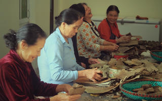 Về làng bánh gai chỉ rộn ràng nhất dịp giáp Tết