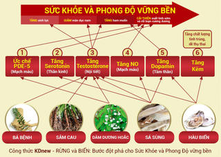 Phong độ đỉnh cao - đón chào Canh Tý