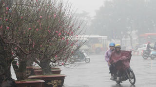 Bắc Bộ rét đậm, có nơi rét hại dịp Tết Nguyên Đán