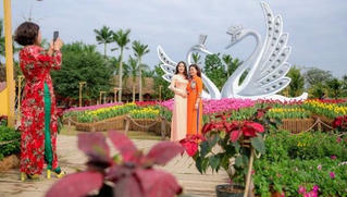 Lễ hội Xuân Ecopark: Điểm “check in” cực chất ngay gần Hà Nội