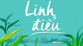 Tiểu thuyết chạm vào nỗi đau của chim chóc