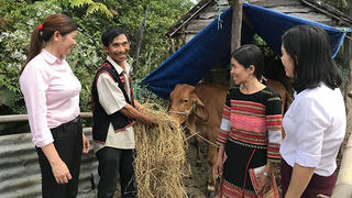 Nhịp sống mới trên miền đất võ