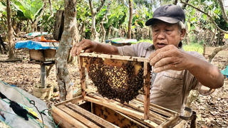 Tiếp sức để người dân thoát nghèo bền vững