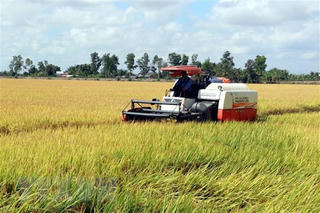 Ngày Nước thế giới (22/3): Thắng hạn hán nhờ chủ động thích ứng 