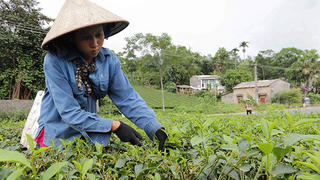 Tân Sơn (Phú Thọ) chính thức thoát khỏi danh sách huyện nghèo 30a