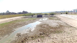 Các tỉnh Nam Trung Bộ ứng phó hạn hán thế nào?