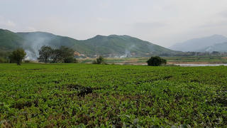 Quy định chuyển đổi đất nuôi trồng thủy sản sang đất ở, đất vườn