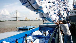 Xuất khẩu gạo tháng 4/2020: Sau một ngày, DN đăng ký chạm hạn ngạch 400 ngàn tấn