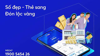MB Connect: “Số đẹp – Thẻ sang – Đón lộc vàng”