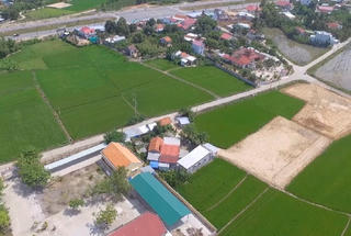 Chuyển đổi đất trồng cây lâu năm sang đất ở