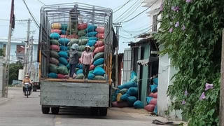 Nhà máy xay lúa bị tố “gây ngạt thở” hàng xóm