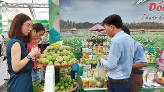 Các tuần hàng, phiên chợ kết nối đem lại hiệu quả gì?