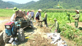Tươi sáng khắp vùng cao Bắc Kạn