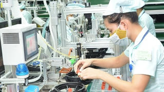 6 tháng cuối năm 2020: Những ngành được dự báo triển vọng 