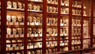 Tham quan những bảo tàng kỳ lạ nhất thế giới