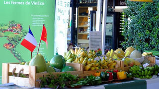 Đẩy mạnh xuất khẩu nông sản ra thế giới