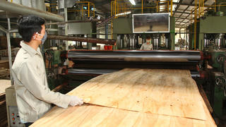 Gian lận thương mại - vấn đề sống còn với ngành gỗ