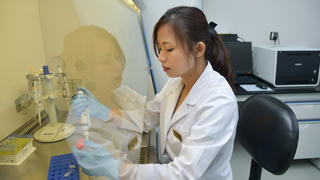 Liệu pháp tế bào gốc: “Cửa sống” cho các bệnh nan y