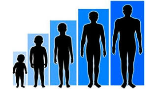 Chiều cao người Việt đứng thứ 4 Đông Nam Á