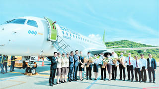 Bamboo không chỉ là tre...