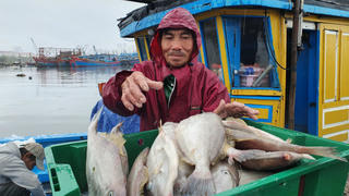 Lộc biển đầu Xuân