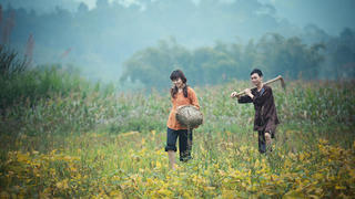 [Truyện ngắn] Trong làn gió mỏng