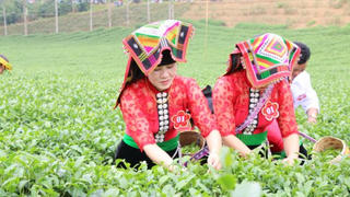 Sắc màu nông thôn mới ở huyện nghèo miền núi