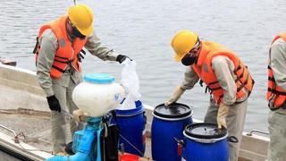 Bộ Công an bắt Giám đốc Cty Phân phối chế phẩm Redoxy 3C: “Bí mật” về Cty Arktic