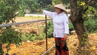 Nghi án “hủy hoại tài sản” tại Vĩnh Phúc