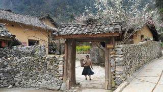 [Truyện ngắn] Miền sương giăng