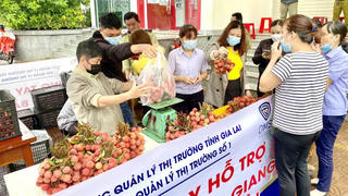 Mở đường cho vải thiều 'vượt' dịch ngoạn mục