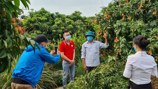 Xây dựng thương hiệu nông sản trên môi trường số