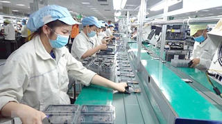 Chính sách hỗ trợ về bảo hiểm do dịch COVID-19 