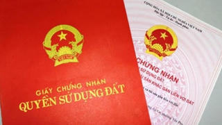 Bị tuyên án chung thân về tội lừa đảo, nữ quái tiếp tục “giăng bẫy bắt mồi”?