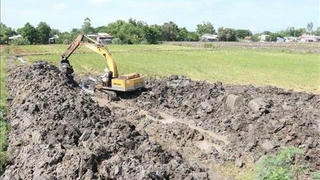  Đồng Tháp: Nhiều vi phạm trong quản lý, sử dụng đất nông nghiệp ở TP Cao Lãnh