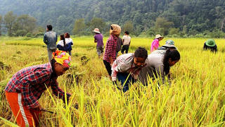 Việt Nam được xem là một nước có tỷ lệ giảm nghèo nhanh nhất thế giới