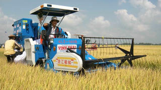 Cơ giới hóa nông nghiệp chưa đạt được kỳ vọng 