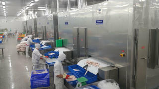 Tiền Giang dừng hoạt động khu công nghiệp: Doanh nghiệp “3 tại chỗ” kiến nghị tháo gỡ