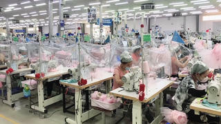 Thừa Thiên-Huế: Hỗ trợ người về quê tránh dịch tìm việc làm