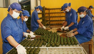 Quy định mới về chế độ nghỉ phép của quân nhân chuyên nghiệp