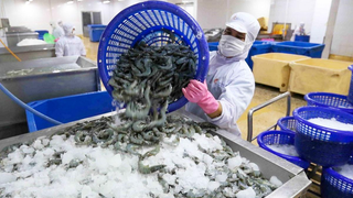 Doanh nghiệp chế biến thủy sản: Phương án sản xuất cần linh hoạt để đạt “mục tiêu kép”