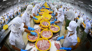 Cần hỗ trợ phục hồi sản xuất để thủy sản Việt Nam 'chốt vững' ở thị trường châu Âu