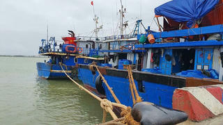 Miễn phí sử dụng vị trí neo, đậu đối với tàu, thuyền tránh bão