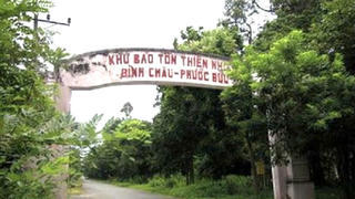 Bà Rịa-Vũng Tàu: Giao khoán hàng trăm ha rừng sai quy định