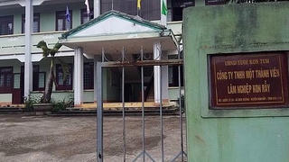 Cty Lâm nghiệp Kon Rẫy (Kon Tum): Sai sót trong công tác kế toán