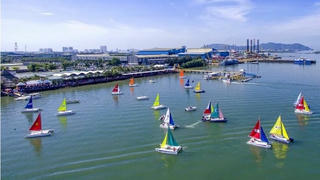 Sai phạm tại dự án Bến thuyền du lịch Vũng Tàu Marina