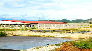 Hà Tĩnh phạt doanh nghiệp chăn nuôi gây ô nhiễm 1,25 tỷ đồng