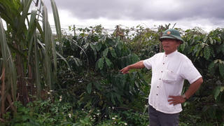 Lâm Đồng: “Quyết định công nhận sự thỏa thuận” trái luật cần xem xét lại